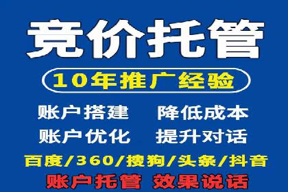 SEM广告投放策略：成功案例解析